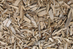 biomass boilers Woodcutts